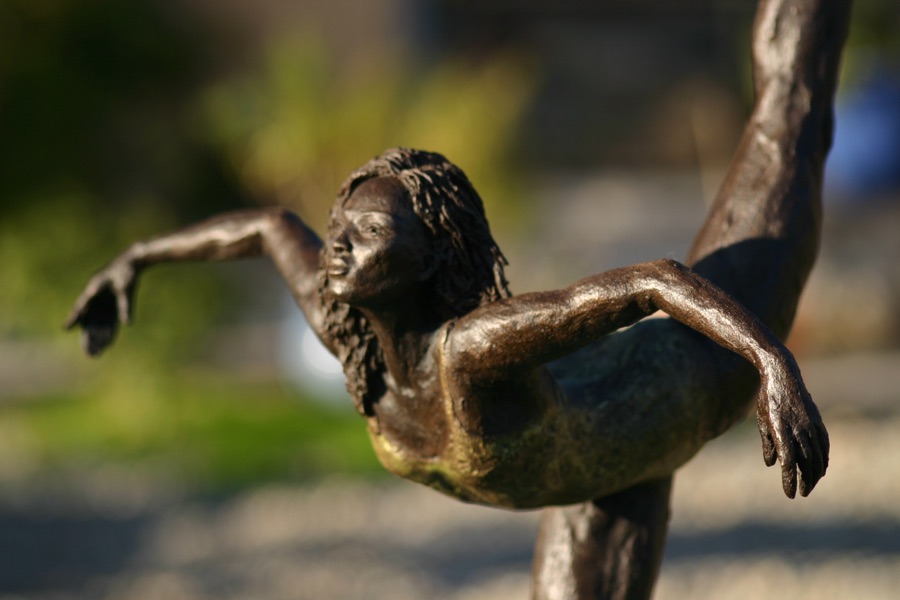 L'envol De La Héronne, photo 5
