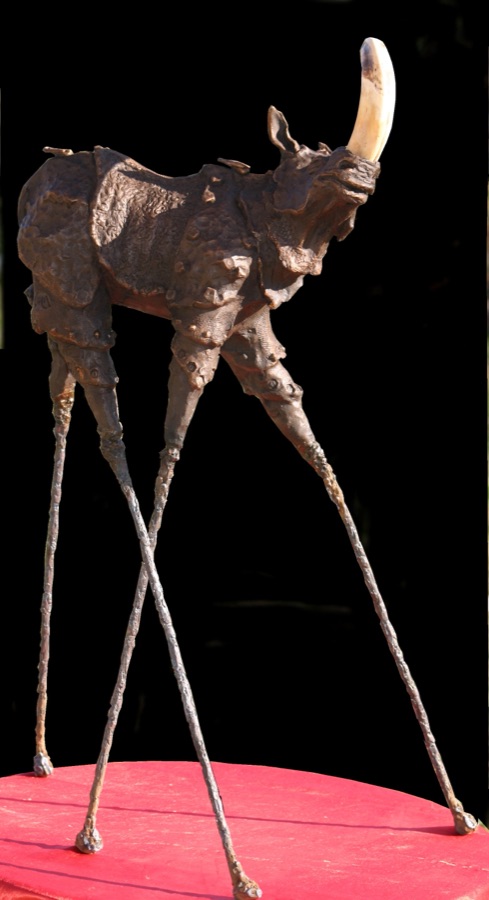 Rhinozip, photo 1