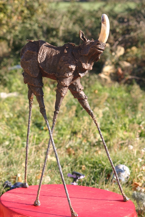 Rhinozip, photo 2