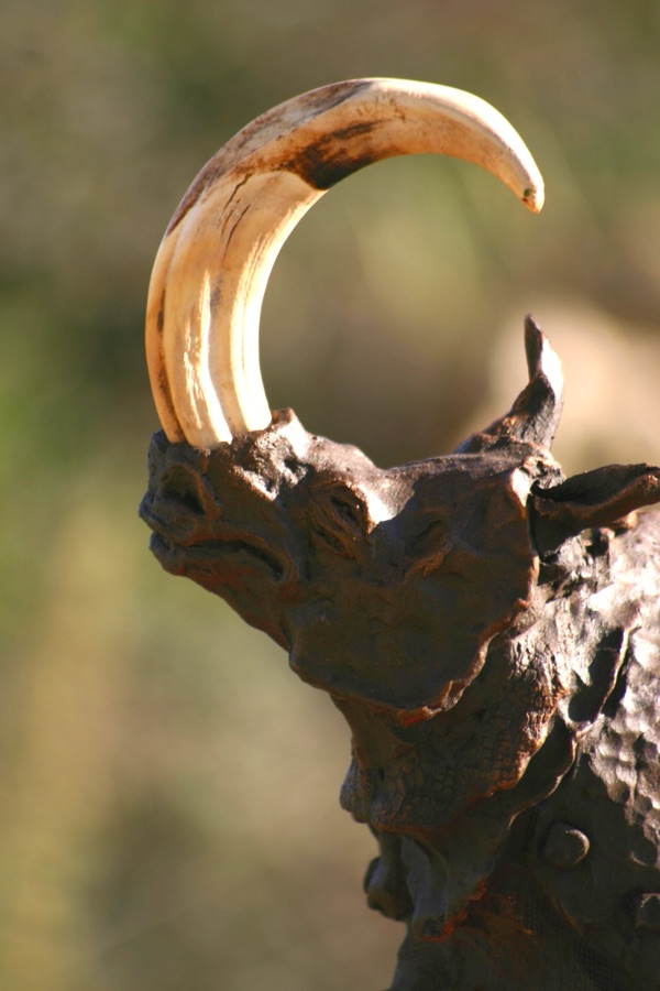 Rhinozip, photo 5