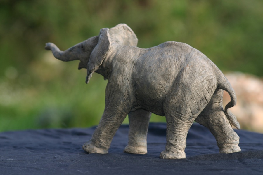 Touré Kunda, photo 8