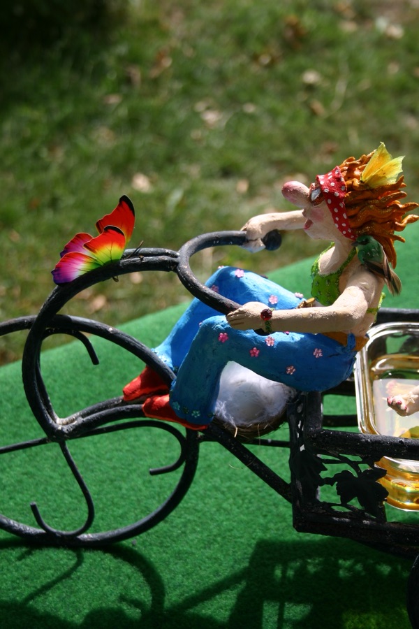 La Piscimobile, photo 8