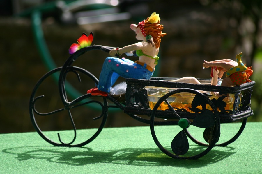 La Piscimobile, photo 9