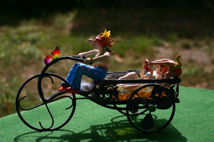 La Piscimobile, photo 12