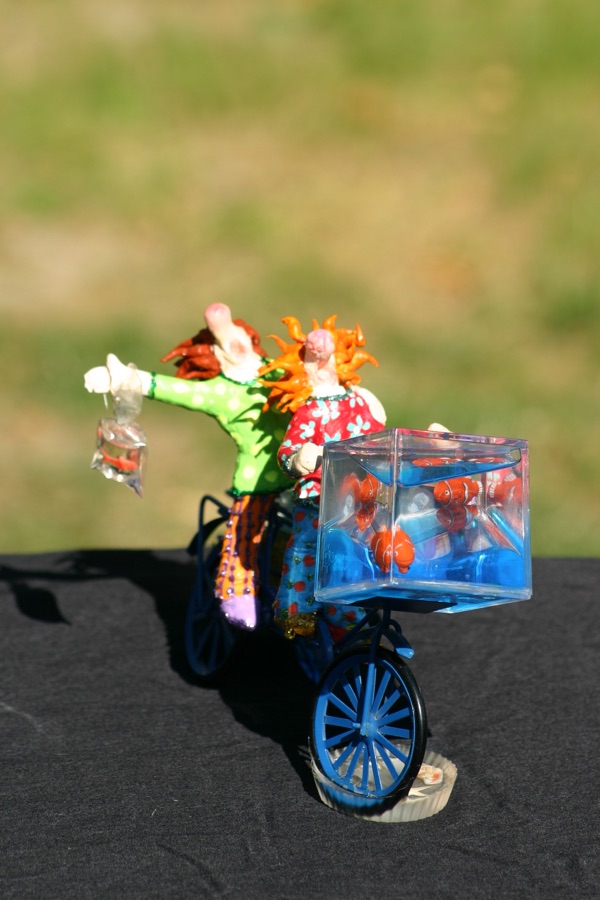 Le FLPC Front De Libération Des Poissons Clown, photo 1