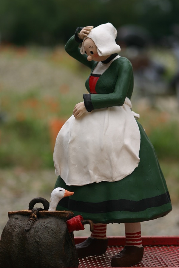 Bécassine, photo 3