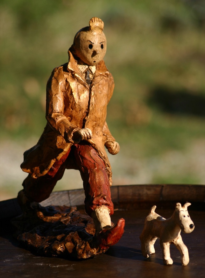 Tintin, photo 3